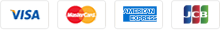 payment-icn